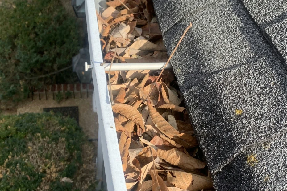 Gutter Cleaning Mount Holly