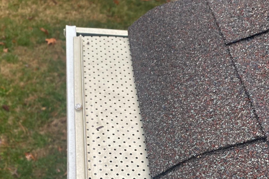 Gutter Cleaning Mount Holly