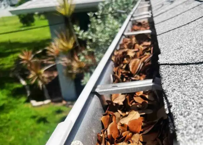 Gutter Cleaning Mount Holly home page